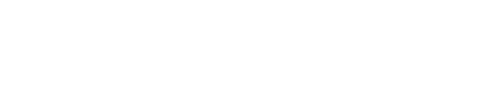 wordpress-logo-white